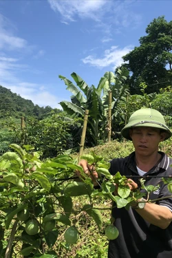 Phát huy hiệu quả các Chương trình mục tiêu quốc gia tại vùng đồng bào dân tộc thiểu số ở Lào Cai