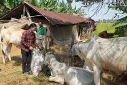 Phụ nữ Khmer vùng biên giới Tây Nam siêng năng, nhạy bén vươn lên thoát nghèo