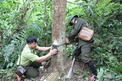 Bẫy ảnh giữa đại ngàn khu Bảo tồn thiên nhiên Pù Huống