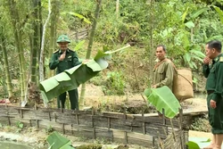 Bộ đội Biên phòng Mường Lát tham gia xây dựng hệ thống chính trị cơ sở vùng biên giới