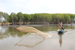 Hỗ trợ nông dân chăm sóc tôm nuôi trong thời tiết bất lợi