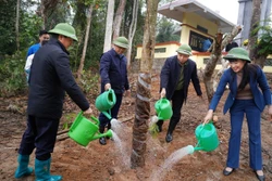 Thái Nguyên: Trồng trên 1,1 triệu cây phân tán trong dịp phát động Tết trồng cây