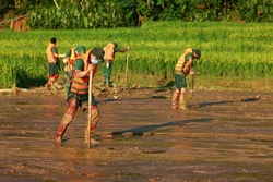 Lực lượng quân đội tìm kiếm các nạn nhân mất tích do sạt lở đất tại làng Nủ, xã Phúc Khánh, huyện Bảo Yên (Lào Cai). Ảnh: Dương Giang - TTXVN