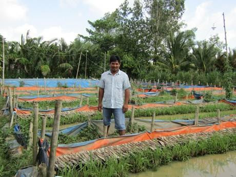 Anh Nguyễn Minh Đời bên ruộng lót bạt, tạo thành các bể nuôi lươn “dã chiến”. Ảnh: danviet.vn