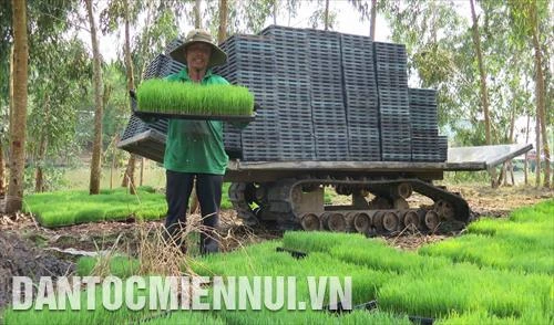 Giải bài toán quy hoạch để phát triển nông nghiệp bền vững