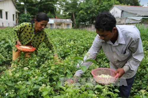 Trà Vinh tập trung nhiều giải pháp giảm nghèo