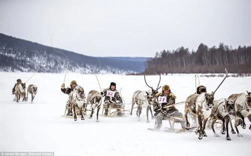 Những người săn sói ở Siberia