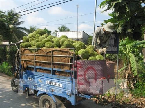 Doanh nhân miệt vườn Nguyễn Thanh Huỳnh góp phần xây dựng nông thôn mới