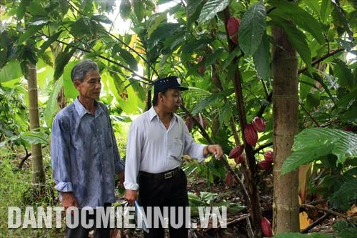 Kiên Giang: Hỗ trợ nhà, đất ở cho hộ đồng bào dân tộc Khmer nghèo