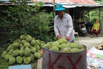 Tiền Giang khuyến khích kích cầu nông thôn