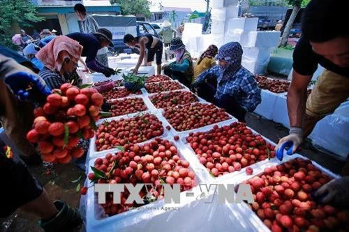 Khuyến khích phát triển hợp tác, liên kết trong sản xuất và tiêu thụ sản phẩm nông nghiệp