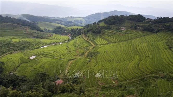 Tạo đột phá từ lợi thế ruộng bậc thang Miền Đồi