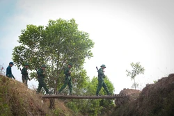 Đường tuần tra trên tuyến biên giới Tây Ninh của cán bộ chiến sĩ biên phòng Đồn Ninh Điền. Ảnh: Giang Phương - TTXVN