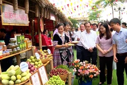 Sau hơn 6 năm triển khai, Chương trình Mỗi xã một sản phẩm (OCOP) tại tỉnh Yên Bái phát triển mạnh mẽ, khơi dậy tiềm năng, thế mạnh của từng địa phương. Ảnh: TTXVN phát