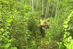 Cán bộ Hạt kiểm lâm huyện Quan Hóa (Thanh Hóa) tuần tra, bảo vệ, phòng cháy rừng. Ảnh: Nguyễn Nam - TTXVN 