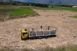 Sự "chuyển mình" trong nông thôn mới ở Khánh Hòa (Bài cuối)