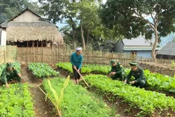 Mô hình "Bản sáng vùng biên" góp phần đổi thay bản làng biên giới ở Thanh Hóa