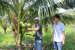 Cơ hội quảng bá hình ảnh, thương hiệu cho hợp tác xã qua số hóa