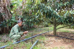 Gia Lai xây dựng các cơ chế, chính sách phát triển nông nghiệp tuần hoàn