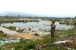 Thanh Hóa: Nhiều diêm dân bỏ hoang đồng muối