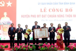 Phó Thủ tướng Hồ Đức Phớc dự lễ công nhận huyện Phù Mỹ đạt chuẩn nông thôn mới