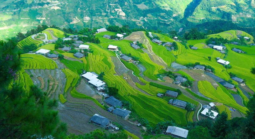 Ruộng lúa bậc thang ở xã Bản Phùng, huyện Hoàng Su Phì (Hà Giang). Ảnh: Nguyễn Chiến-TTXVN