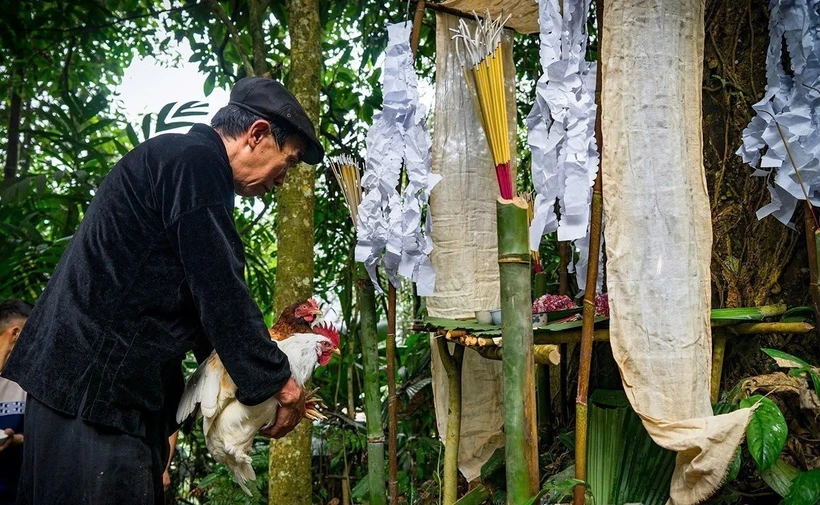 Lễ cúng rừng của người Mông nơi đại ngàn xanh Nà Hẩu