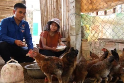 A Nguyên (áo xanh) hướng dẫn các thành viên Câu lạc bộ Thanh niên tôn giáo phát triển kinh tế cách chăm sóc đàn gà của gia đình. Ảnh: Dư Toán – TTXVN 