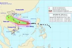 Ứng phó bão số 13: tỉnh Quảng Trị, Quảng Ngãi di dời người dân đến các địa điểm an toàn 