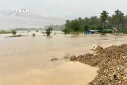 Bình Định: Mưa lớn ở huyện An Lão, gây ngập úng 14 điểm, giao thông chia cắt