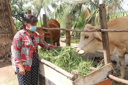 Gia đình chị Sơn Thị Út ở ấp Thanh Trì B, xã Đa Lộc, huyện Châu Thành(Trà Vinh) thoát nghèo nhờ được Nhà nước hỗ trợ vốn vay ưu đãi để xây nhà và hỗ trợ sinh kế. Ảnh: Thanh Hòa - TTXVN