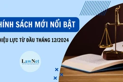 Những chính sách nổi bật có hiệu lực trong tháng 12/2024