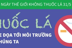 Thuốc lá - Mối đe dọa tới môi trường của chúng ta