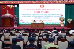 Thái Nguyên khuyến khích đầu tư phát triển sản xuất, tạo việc làm cho đồng bào dân tộc thiểu số