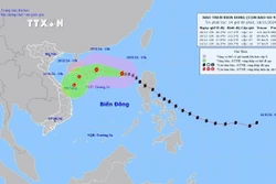 Ứng phó bão số 9: Quảng Ninh đến Bình Thuận theo dõi chặt chẽ diễn biến bão