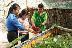 Giúp thanh niên Kiên Giang lập thân, lập nghiệp, phát huy tinh thần đổi mới sáng tạo