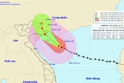 Dự báo 13h ngày 19/10, tâm bão số 7 nằm trên vùng bờ biển Quảng Ninh- Hải Phòng