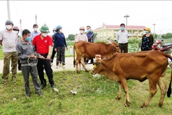 Quảng Bình: Trao sinh kế giúp hộ khó khăn thoát nghèo bền vững