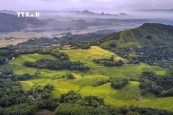 Vẻ đẹp của những thửa ruộng bậc thang Miền Đồi (huyện Lạc Sơn, Hòa Bình) không thua kém gì so với những vùng đất vốn đã rất nổi tiếng về ruộng bậc thang như Lào Cai, Yên Bái... Ảnh: Trọng Đạt - TTXVN