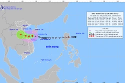 Đường đi của bão số 4. Ảnh: nchmf.gov.vn