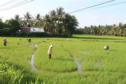 Trà Vinh quan tâm hỗ trợ người dân thoát nghèo bền vững