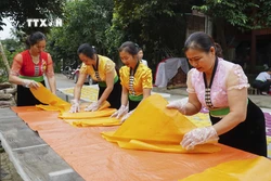 Bộ Văn hóa, Thể thao và Du lịch vừa công nhận thêm 8 di sản văn hóa phi vật thể quốc gia, trong đó có nghề làm bánh khẩu xén, bánh chí chọp của người Thái trắng ở thị xã Mường Lay, tỉnh Điện Biên. Ảnh: Xuân Tư – TTXVN